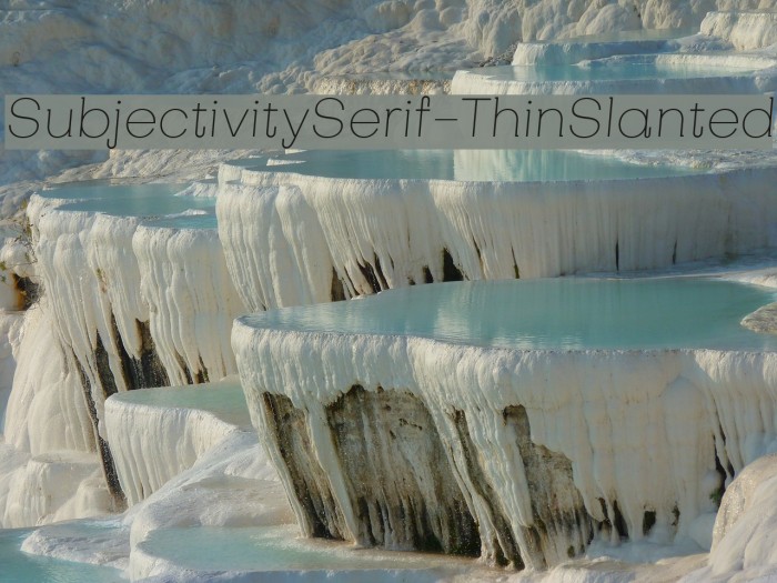 SubjectivitySerif-ThinSlanted Font examples