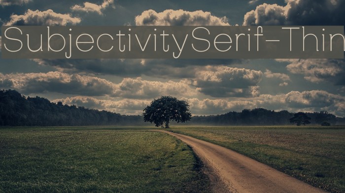 SubjectivitySerif-Thin Font examples