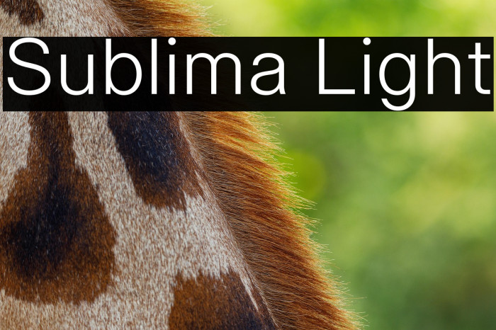 Sublima Light Example 2