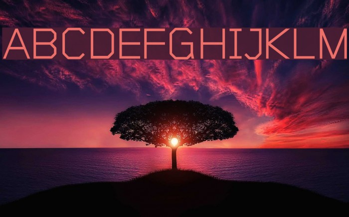 Sublimation Light Font examples
