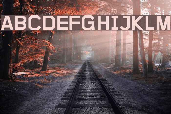 Sublimation Medium Font examples