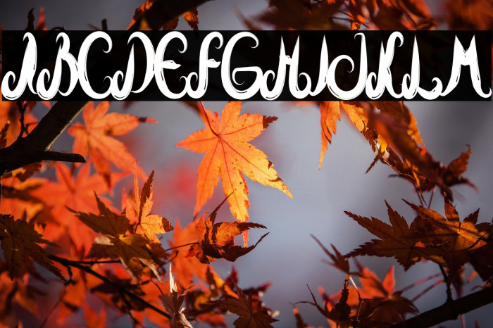 Sublimation Example 3