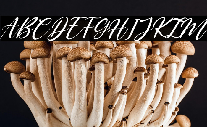 Sublimity Italic Example 2