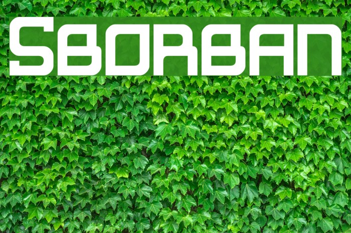 Suborban Font examples