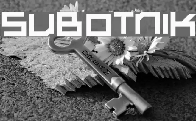 Subotnik Font examples