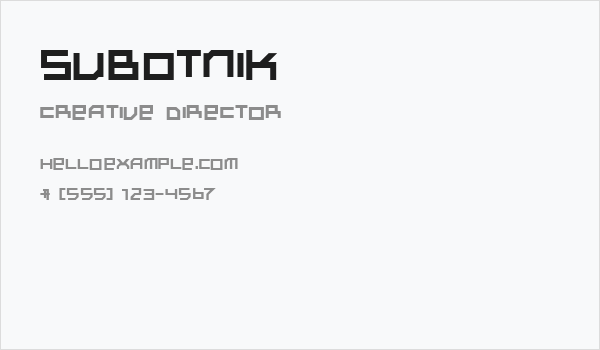 Subotnik Business Card