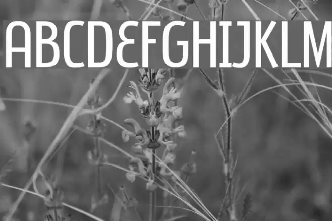 Subpear Schriftart examples