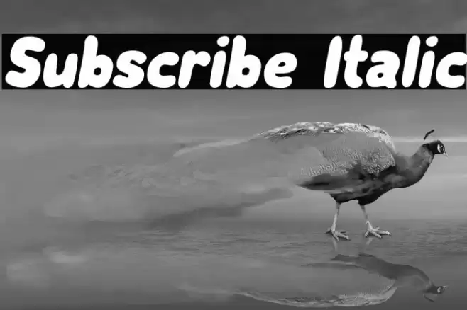 Subscribe Italic Font examples