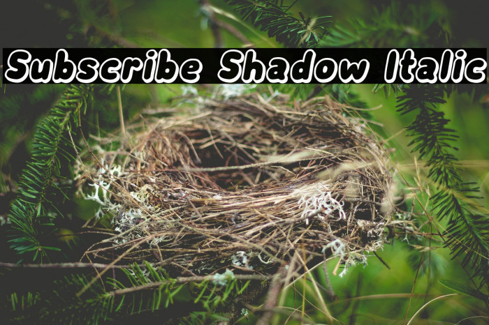 Subscribe Shadow Italic Font examples