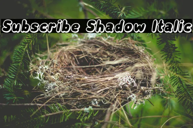 Subscribe Shadow Italic Example 3