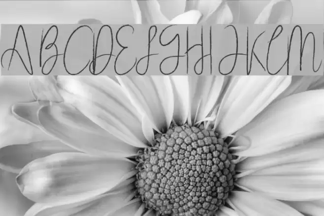 Subsky Font examples