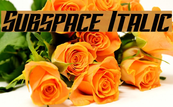 Subspace Italic Example 2