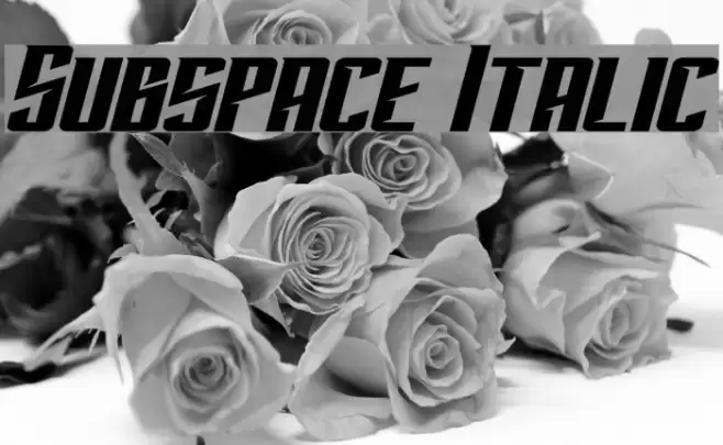 Subspace Italic Font examples
