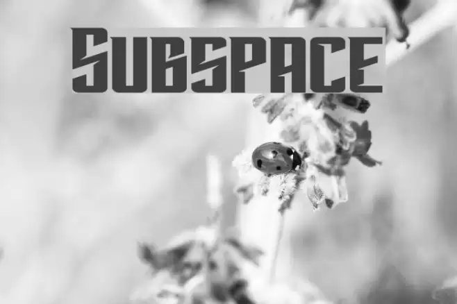 Subspace Font examples