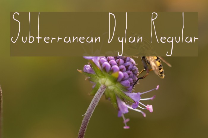 Subterranean Dylan Regular Font examples