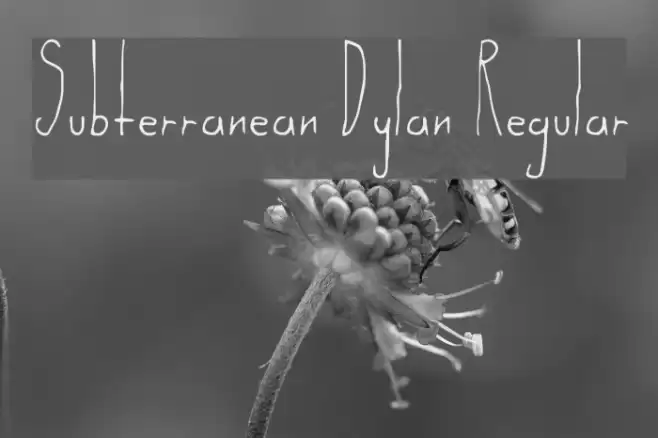 Subterranean Dylan Regular Schriftart examples