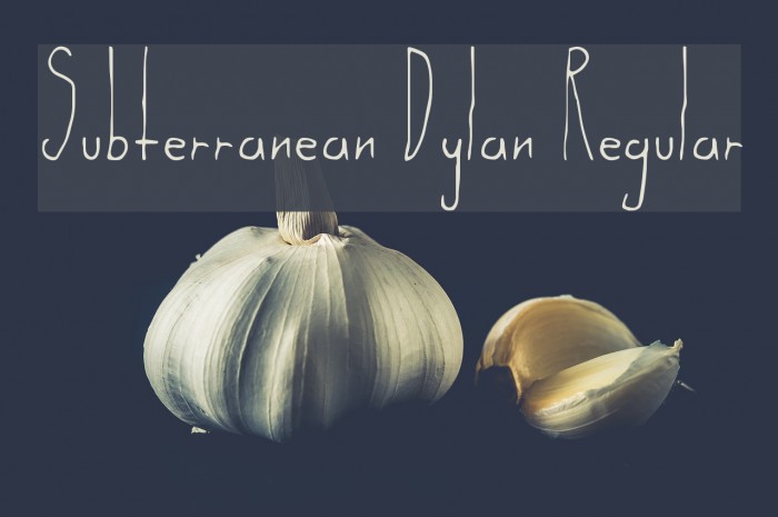 Subterranean Dylan Regular Font examples
