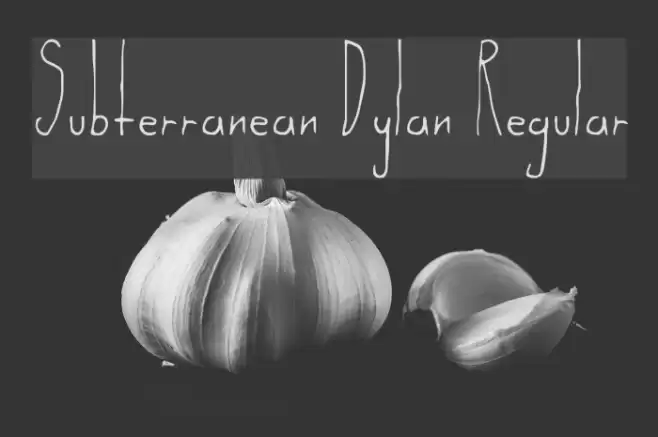 Subterranean Dylan Regular Schriftart examples