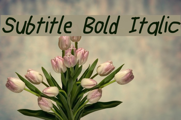 Subtitle Bold Italic Font examples