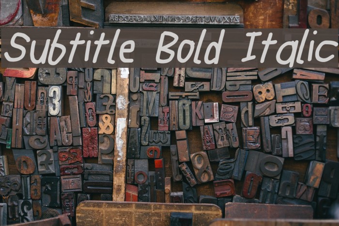 Subtitle Bold Italic Font examples
