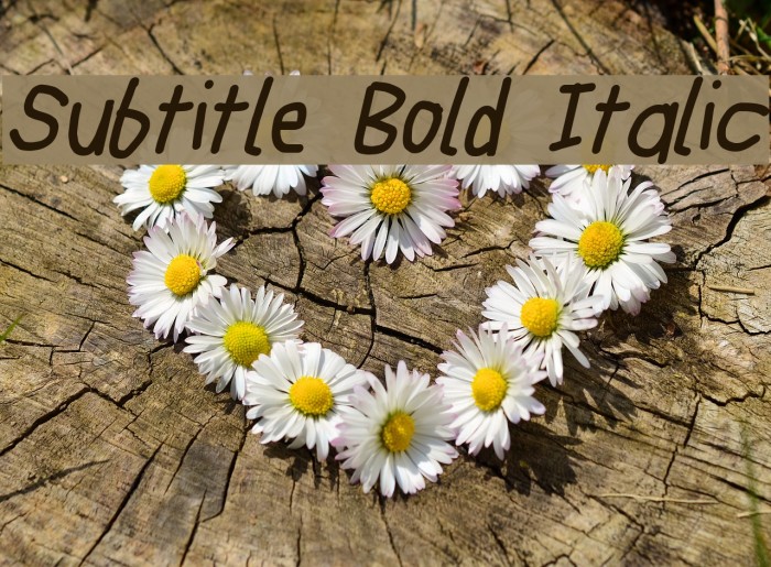 Subtitle Bold Italic Font examples