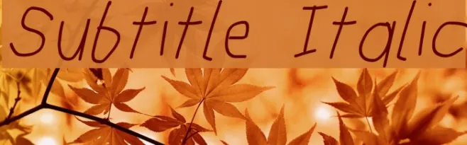 Subtitle Italic Example 3