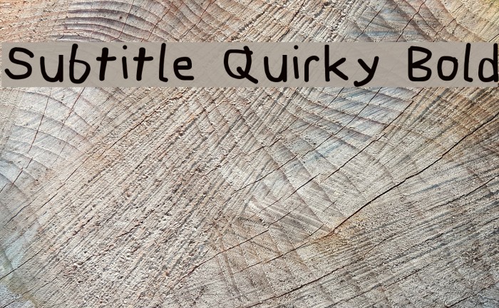 Subtitle Quirky Bold Example 3