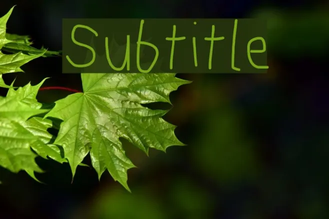 Subtitle Example 2