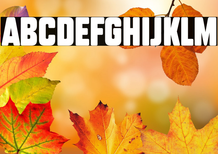 Subtle Curves Example 2