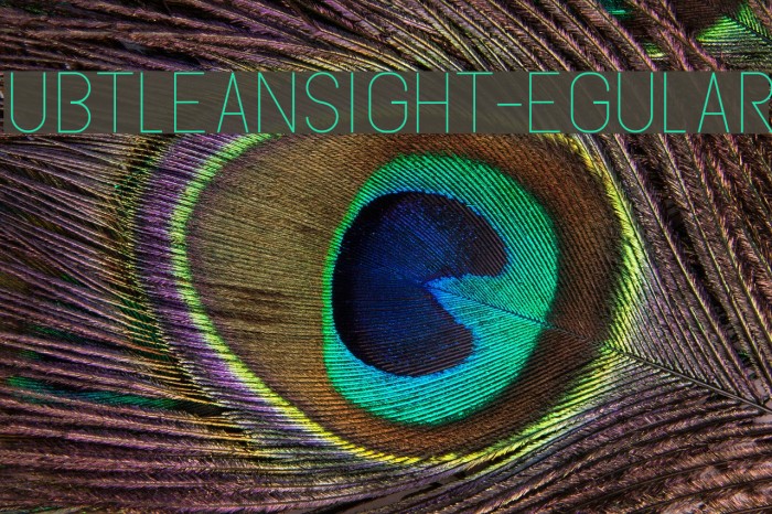 SubtleSansLight-Regular Font examples