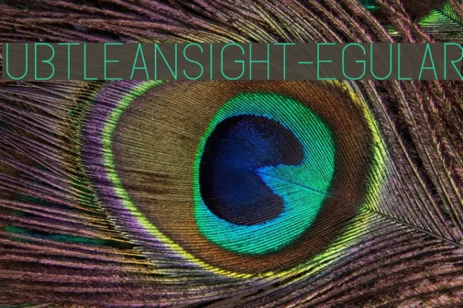 SubtleSansLight-Regular Example 1