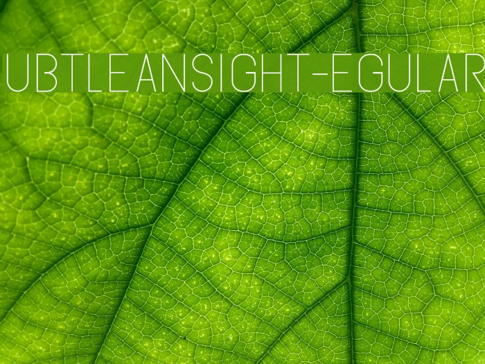 SubtleSansLight-Regular Font examples