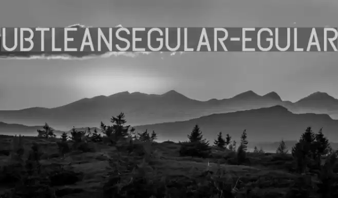 SubtleSansRegular-Regular Font examples