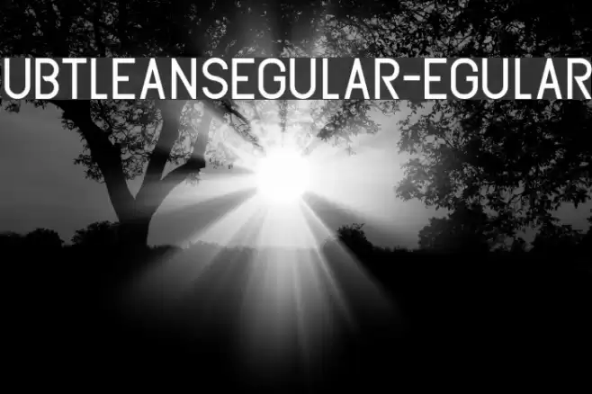 SubtleSansRegular-Regular Font examples