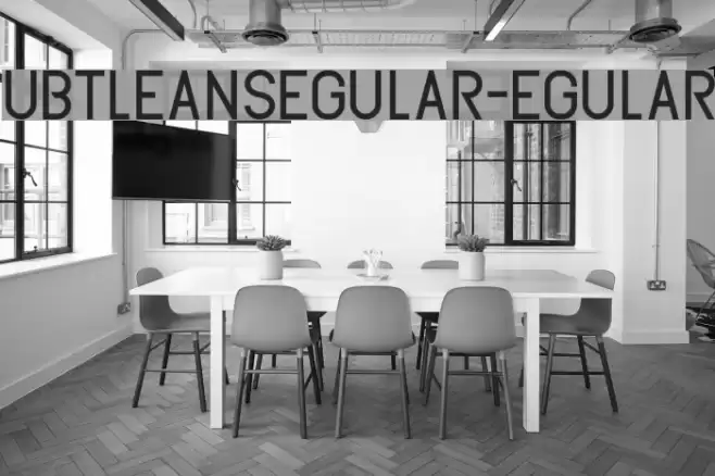 SubtleSansRegular-Regular Font examples
