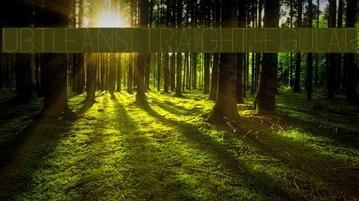 SubtleSansUltraLight-Regular Font examples