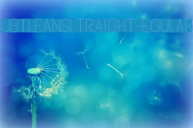 SubtleSansUltraLight-Regular Example 2