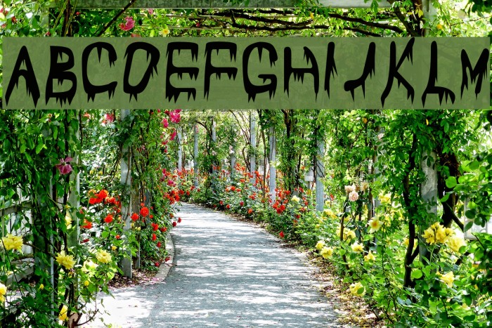 Subtlety Font examples