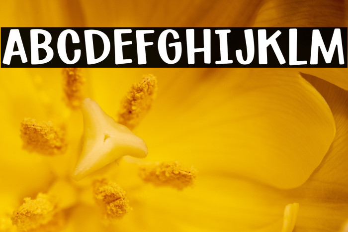 SuburbanFlamingo-Regular Example 1