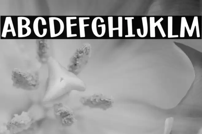 SuburbanFlamingo-Regular Font examples