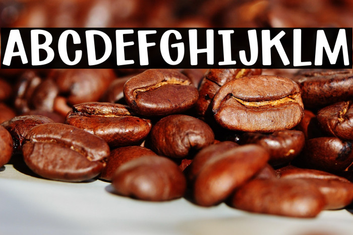 SuburbanFlamingo-Regular Example 2