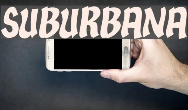 Suburbana Example 2