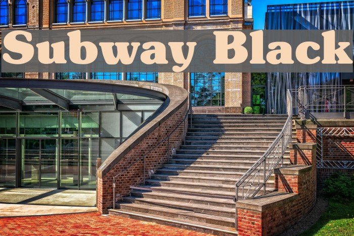 Subway Black Schriftart examples