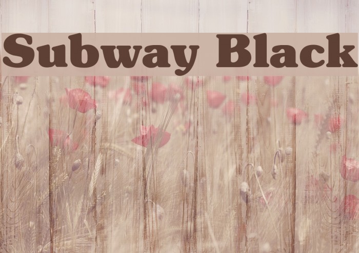 Subway Black Schriftart examples
