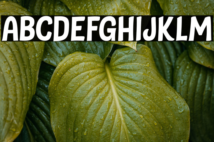 Subway Circle DEMO Regular Example 3