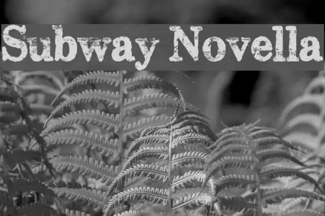Subway Novella Font examples
