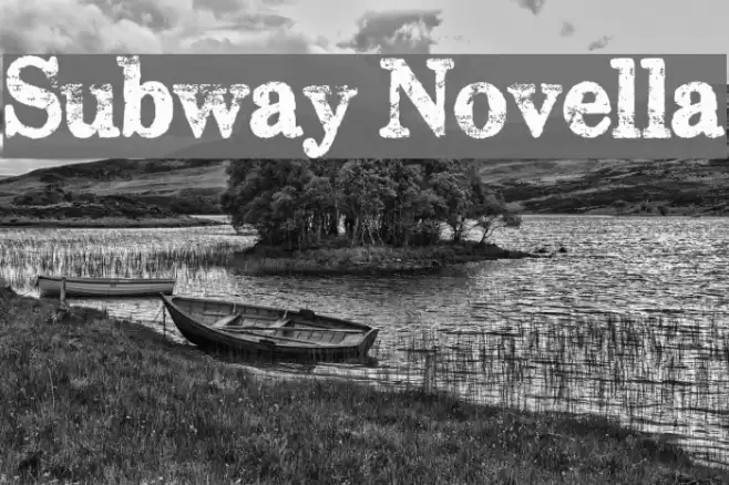 Subway Novella Font examples