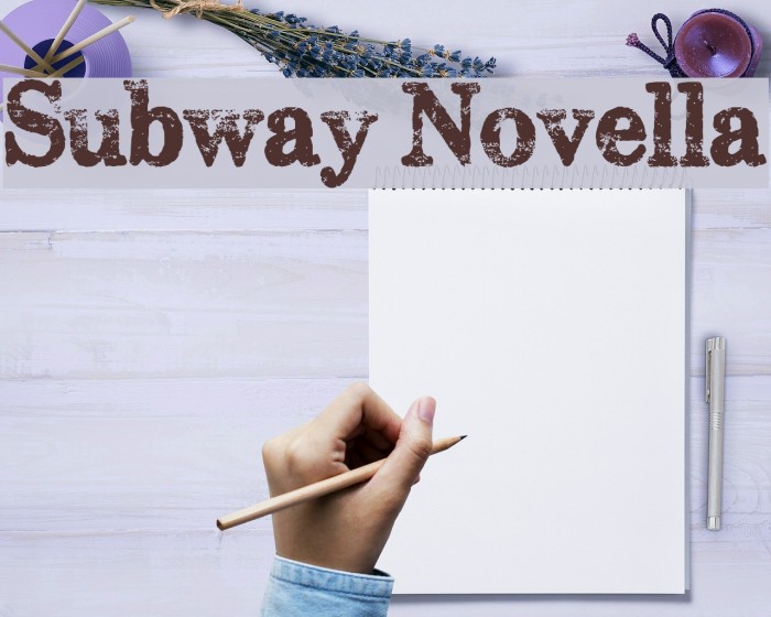 Subway Novella Font examples