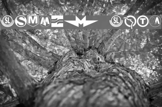 Subway Sign Font examples