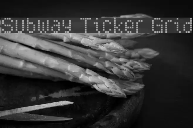 Subway Ticker Grid Font examples